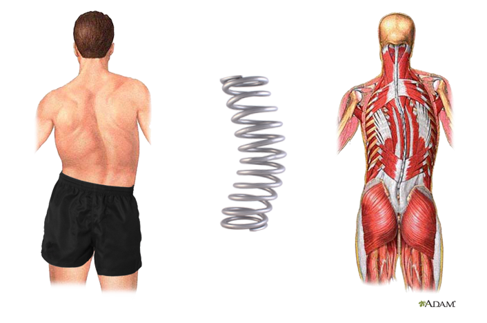 springs and doorstops 2